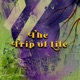 The Trip of Life