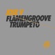 Flamengroove Trumpeto Single