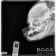 D O G S feat Skyler Durden Capitole D Travis Omen Single