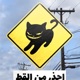 Blue Cat Soldier Single