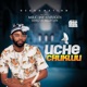 Uche Chukwu