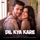 Dil Kya Kare Single