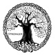 Stronger feat Wakane Single
