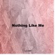 Nothing Like Me Single