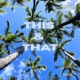 This That feat Mo2crazee Single