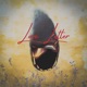 Love Letter Single