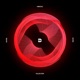 Fallen Star Single