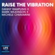Raise the Vibration Single