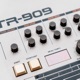 909 Day Single