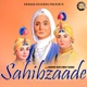 Sahibzaade Single