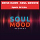 Spirit of Life Single