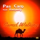 Camel Walking feat Remedy Single