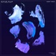 Ocean Blue uomii remix Single
