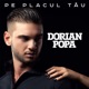 Pe placul tău Single