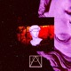 In the Fire Single