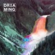 Dreaming Single