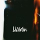 Wildin Single