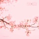 SAKURA WALTZ PIANO CELLO Single