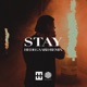 STAY HEDEGAARD Remix Single