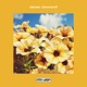 Groove em Single