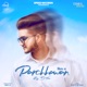 Parchhawan Single