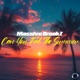 Can You Feel The Summer Single
