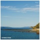 Summer Swims Single