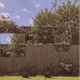 Wav s for the Summer