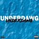 UNDERDAWG Single