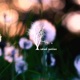 Misterios Single