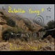 Batalla Single