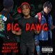 Big Dawg feat Mg Sleepy Single
