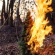 Burning Down the Xmas Tree Single