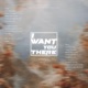 I Want You There Single