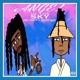 Angel in the Sky feat Ralphy Sway Single