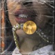 Spiritual G Single
