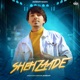 Shehzaade Single