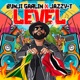 Level Single