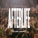 Afterlife Single