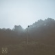 Morning Light Single