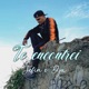 Te Encontrei Single