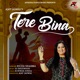 Tere Bina Single