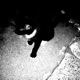 I Hate This Town feat The Ushanka Boy Single