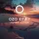 Sunny Guitar 2008 Mix Single