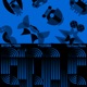 Fluterra That Fancy I Remix Single