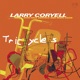 Tricycles with Paul Wertico Marc Egan