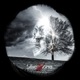 Beautiful Downfall Single