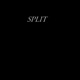 Split Single