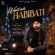 Wallah Habibati Single