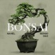 Bonsai Single